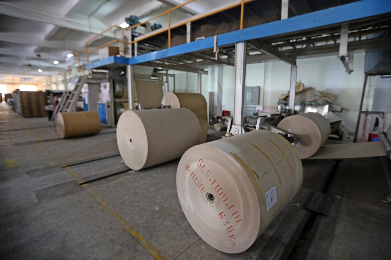 Carton _ Packaging 3